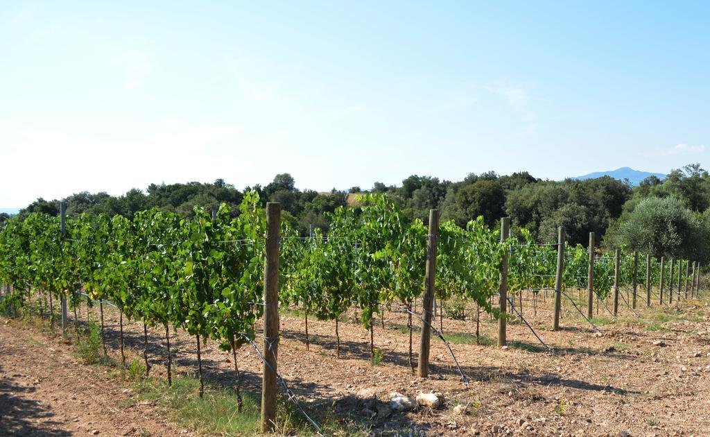 Tenuta Di Maro Sticciano Eksteriør bilde